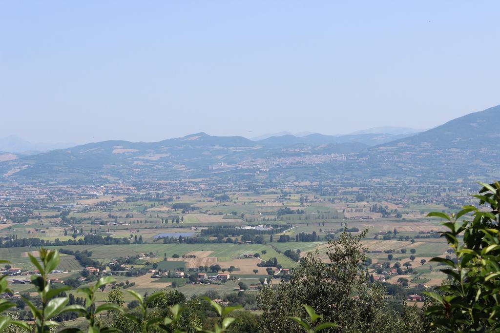 Societa Agricola F.Lli Angelucci Villa Cannara Bagian luar foto