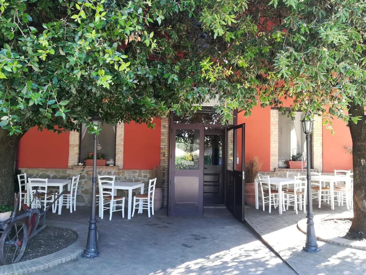 Societa Agricola F.Lli Angelucci Villa Cannara Bagian luar foto