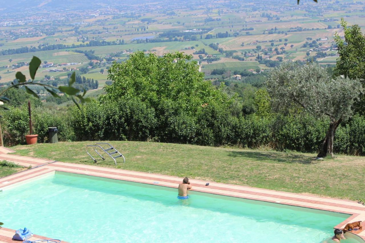 Societa Agricola F.Lli Angelucci Villa Cannara Bagian luar foto